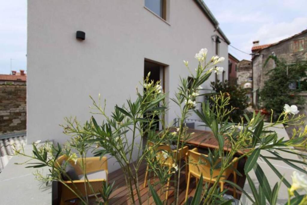 Contemporary House Padna Villa Secovlje Exterior photo